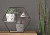 A hexagonal shelf with two planters and stacked stones, next to a tall cactus. Voir les images du produit