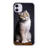 MuchoWow® Handyhülle Schutzhülle Hülle für iPhone 11 Katze Produktbild-Vorschau 1