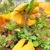 Gartenhandschuhe Dornensicher für Garten, mit Produktbild-Vorschau 5