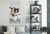 MuchoWow® Poster Husky-Welpe läuft über die Straße 60x120 Produktbild-Vorschau 4