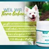 Dental Pulver | Natürliche Zahnreinigung für Hunde & Katzen Produktbild-Vorschau 4