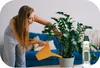 Flüssigdünger für Zimmerpflanzen 300ml - Monstera und Produktbild-Vorschau 8