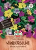 SPERLI Wunderblumensamen Broken Colours Mix 15 Pflanzen Produktbild-Vorschau 1