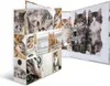 Herma 7166 Teczka Motif cats A4 70 mm(S) Podgląd zdjęcia produktu 10