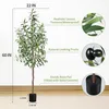 Sztuczna oliwa o wysokości 150 cm z doniczką Podgląd zdjęcia produktu 2