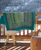 Bassetti Baumwoll-Plaid BRUNELLESCHI Farbe GRÜN V4 Größe Produktbild-Vorschau 2