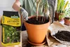 Palmenerde 20 l - Hochwertig - Nährstoffreich - Für Garten Produktbild-Vorschau 4