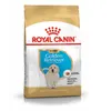 ROYAL CANIN Golden Retriever Junior - Welpe - Golden Produktbild-Vorschau 3