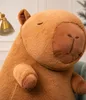 Kapibara Peter pluszowa maskotka 100 cm Anteprima dell’immagine prodotto 7