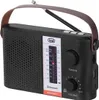 Trevi RA7F25BT Radio Portatile Multibanda Ricaricabile Nero Anteprima dell’immagine prodotto 1
