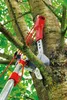 WOLF-GARTEN MS-Profi-Baumschere RC-VM multistar Produktbild-Vorschau 6
