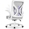 The back view of a gray and white ergonomic office chair with adjustable armrests and lumbar support. Produktbild-Vorschau