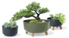Pot de fleurs sur pieds Anthracite Gracia Standard DGRL350 Voir les images du produit 6