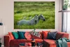 MuchoWow® Poster Pferde - Vogel - Gras 180x120 cm - Produktbild-Vorschau 1