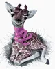 Zuty - Malen nach Zahlen - GIRAFFE MIT EINEM SCHAL, 40x50 Produktbild-Vorschau 1