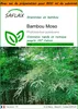 SAFLAX Garden in the bag - Bambou Moso - 20 graines - Voir les images du produit 1