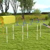 PawHut Hunde Agility Training Slalomstangen für Haustiere Produktbild-Vorschau 9