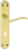 A brass door handle set with a long backplate and a keyhole. Produktbild-Vorschau