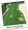 Dog Rocks - proti vypalovaniu trávnika Náhľad obrázku produktu 5