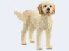 Schleich 13939 Pies Rasy Goldendoodle. Náhľad obrázku produktu 5
