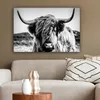 MuchoWow® - Leinwandbilder - Schottischer Highlander - Produktbild-Vorschau 5