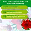Marketing image for plant fertilizer with text highlighting benefits and a close-up of a red flower. Produktbild-Vorschau