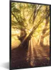 MuchoWow® Gerahmtes Poster Baum - Wald - Sonne 60x90 cm - Produktbild-Vorschau 1