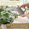 Gießkanne Zimmerpflanzen 1,8 L Gießkanne Klein Produktbild-Vorschau 4