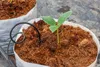 Włókno kokosowe Coco Peat 0-10mm 5l - Biovita Podgląd zdjęcia produktu 14