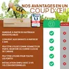 Eli® Charly le pivert qui frappe - cloche de cabane en bois Voir les images du produit 6