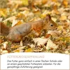 Supravit Eichhörnchen Futter 1kg | Futter mit Haselnüsse & Produktbild-Vorschau 4