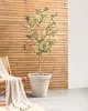 BELIANI Blumentopf Hellbeige Polyresin ⌀ 43 cm Rund Produktbild-Vorschau 4