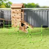 PawHut Agility Set voor honden, 4-delig, verstelbare Productafbeelding-voorbeeld 2