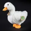 Plyšová kachna 24 cm Ekologická Náhled obrázku produktu 2