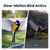 Birdfy Rookie Lite vogelhuis met camera (abonnement voor Productafbeelding-voorbeeld 5