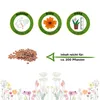 Steinkraut Goldkörbchen Samen - Alyssum saxatile - Produktbild-Vorschau 3
