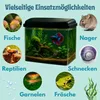 Nano Aquarium Set Mini Terrarium Garnelen Aquarium Klein Produktbild-Vorschau 5