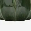 Vaso per cactus in Vetroceramica lucida, verde, dimensioni Anteprima dell’immagine prodotto 12