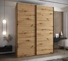 Dvoudveřová skříň SAMARA 1 - 190 cm, dub artisan / černá Náhled obrázku produktu 1