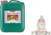 A green plastic container of CANNA Terra Flores fertilizer next to a cartoon illustration of a meditating guru. Produktbild-Vorschau