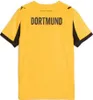 Puma Borussia Dortmund Cup BVB Jersey 25/26 Trikot 3rd Produktbild-Vorschau 7