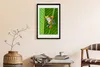 Bild - Bilderrahmen - 40 cm x 60 cm - MDF - Rahmen - Produktbild-Vorschau 3