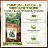 Green Home Kakteen & Sukkulenten Erde 72 L – mit Perlit, Produktbild-Vorschau 2