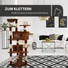 Rohrschneider Kratzbaum Marley | Katzenbaum mit Produktbild-Vorschau 5