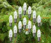 A group of replacement light bulbs for Christmas decorations are arranged on pine branches. Produktbild-Vorschau