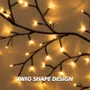 Close-up of illuminated twig branches with warm white lights. Produktbild-Vorschau