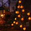 Halloween Lichterkette mit 20 LED-Kürbissen – 3 m Produktbild-Vorschau 4