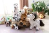 Peluche cheval marron Holly K. Pony 27 cm GREEN s Voir les images du produit 3
