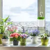 Bewässerungssystem Automatisches Set, Automatische Produktbild-Vorschau 2