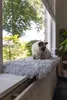 Beeztees Fensterbankauflage Blizz Katze Plüsch grau 65 x 27 Produktbild-Vorschau 6